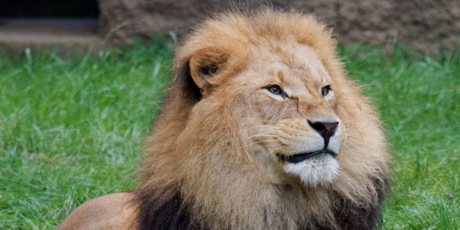 Abendlicher Foto- und Presserundgang durch den Tierpark Hellabrunn am 11.9.2024